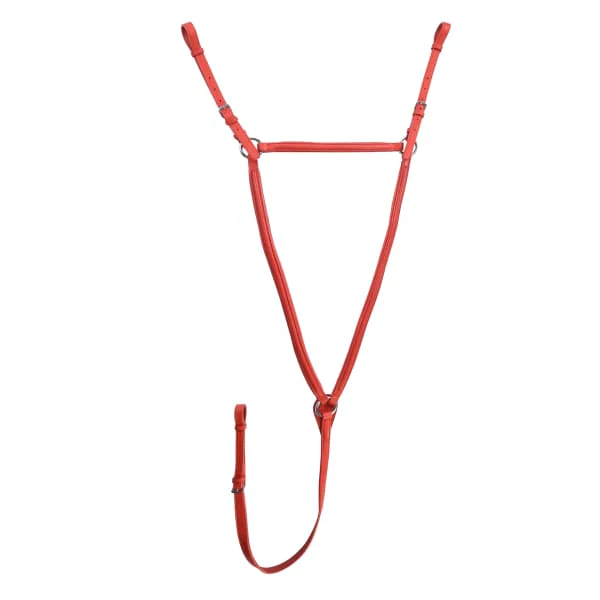 Derby Breastplates - Image 13