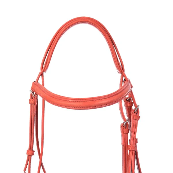 Derby Bridles - Image 27