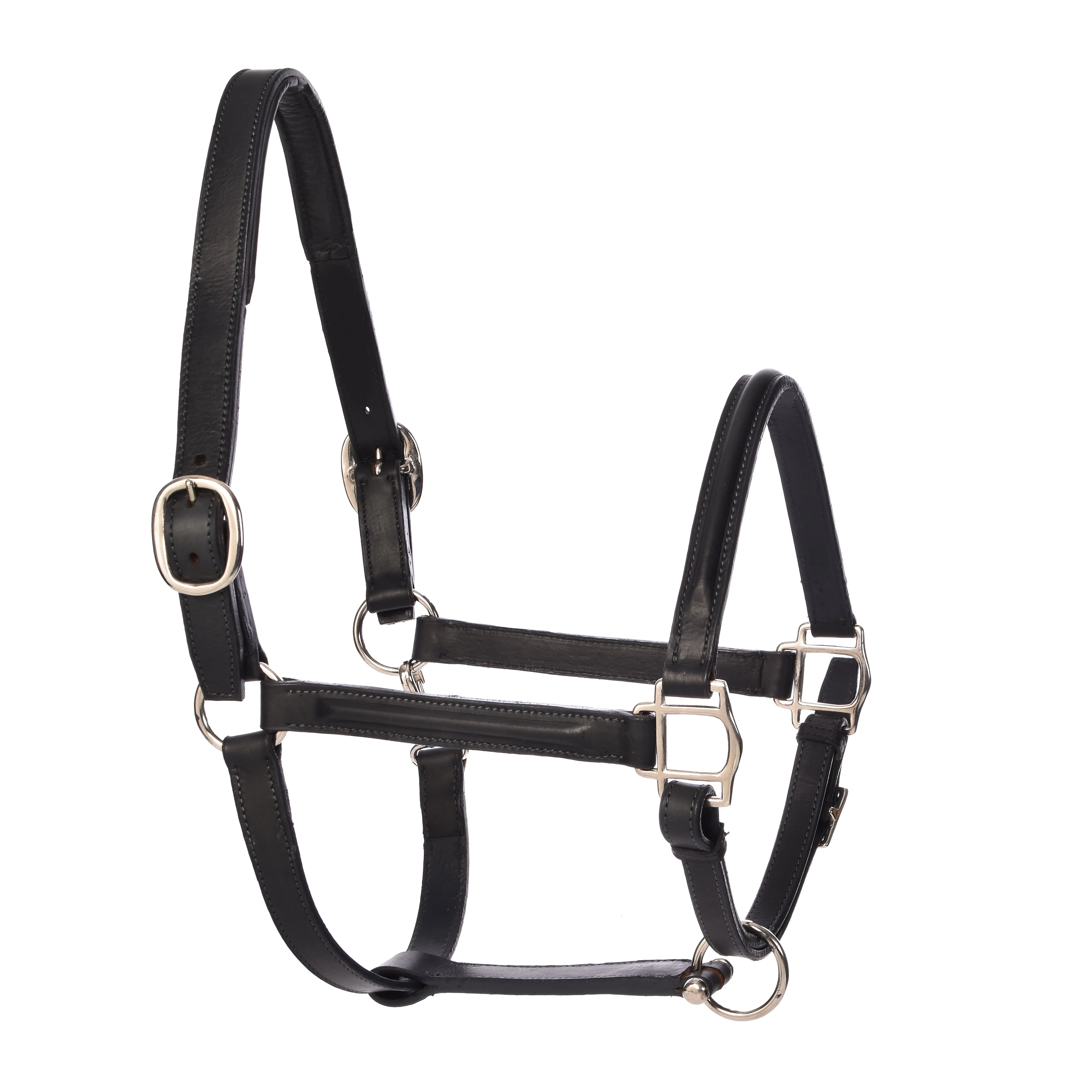 Derby Halters - Image 18