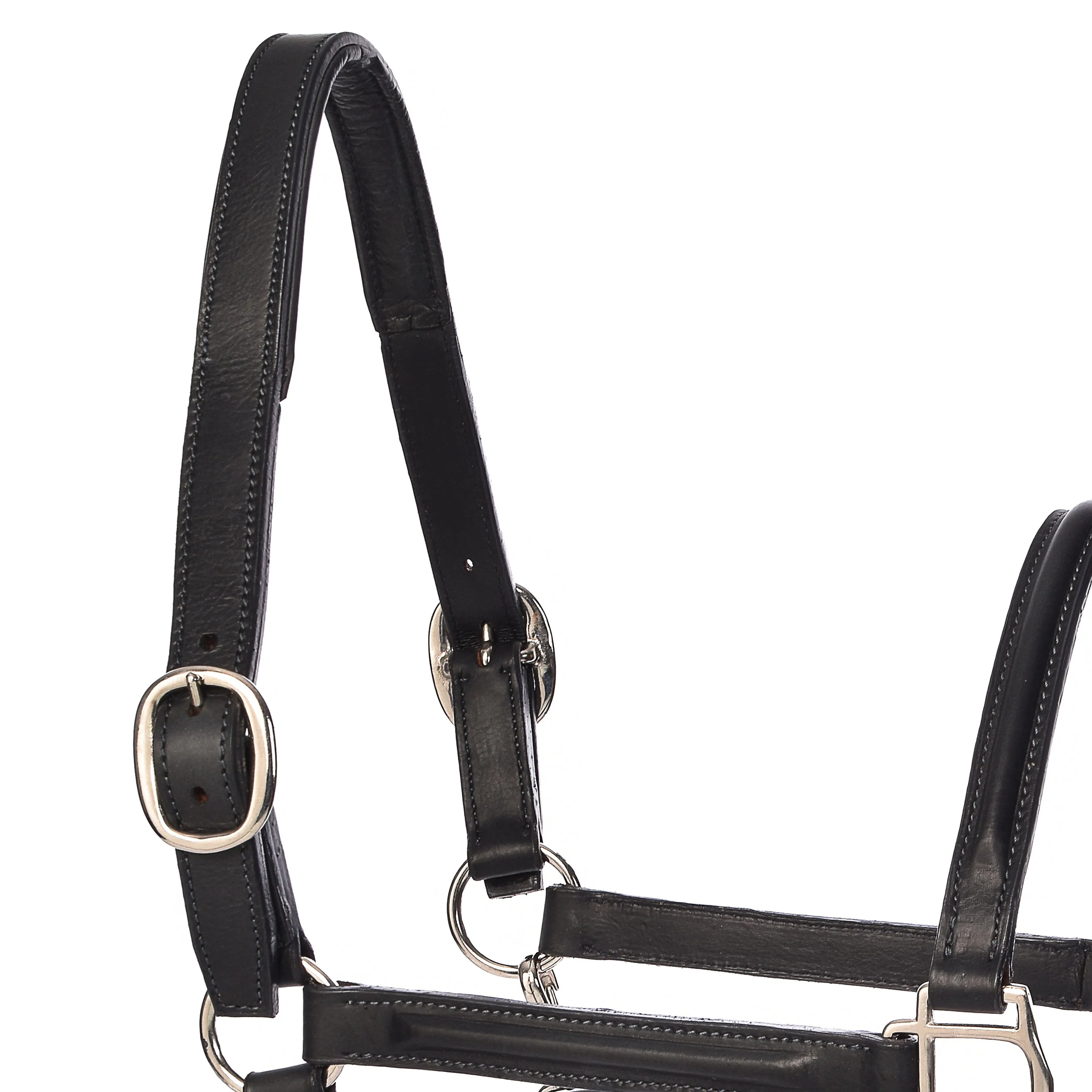 Derby Halters - Image 20