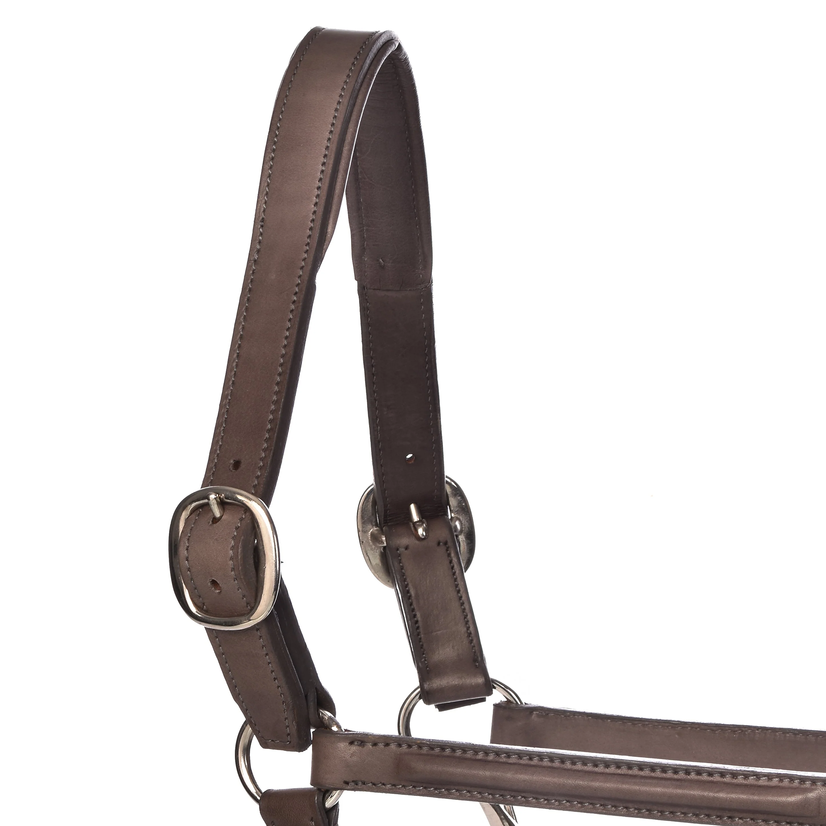 Derby Halters - Image 23