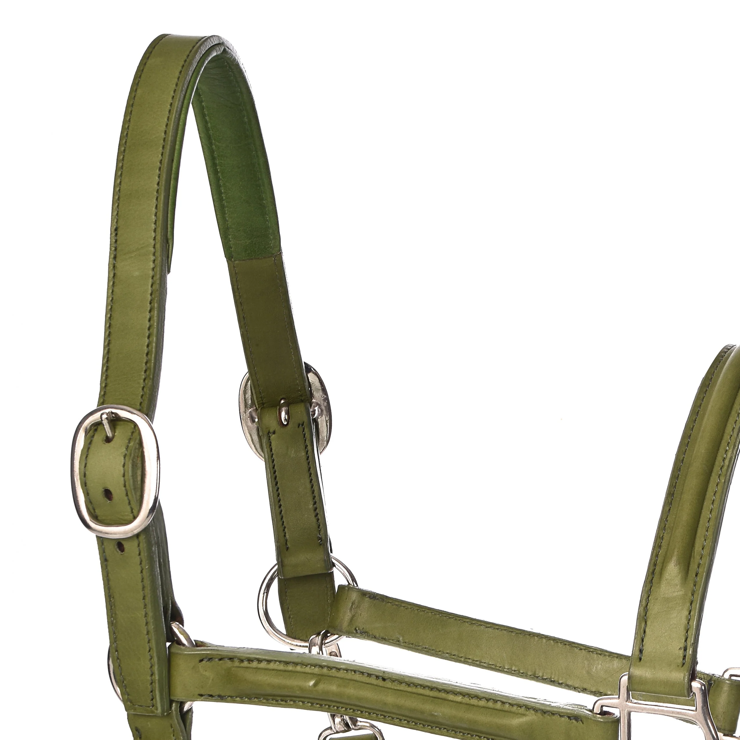 Derby Halters - Image 29