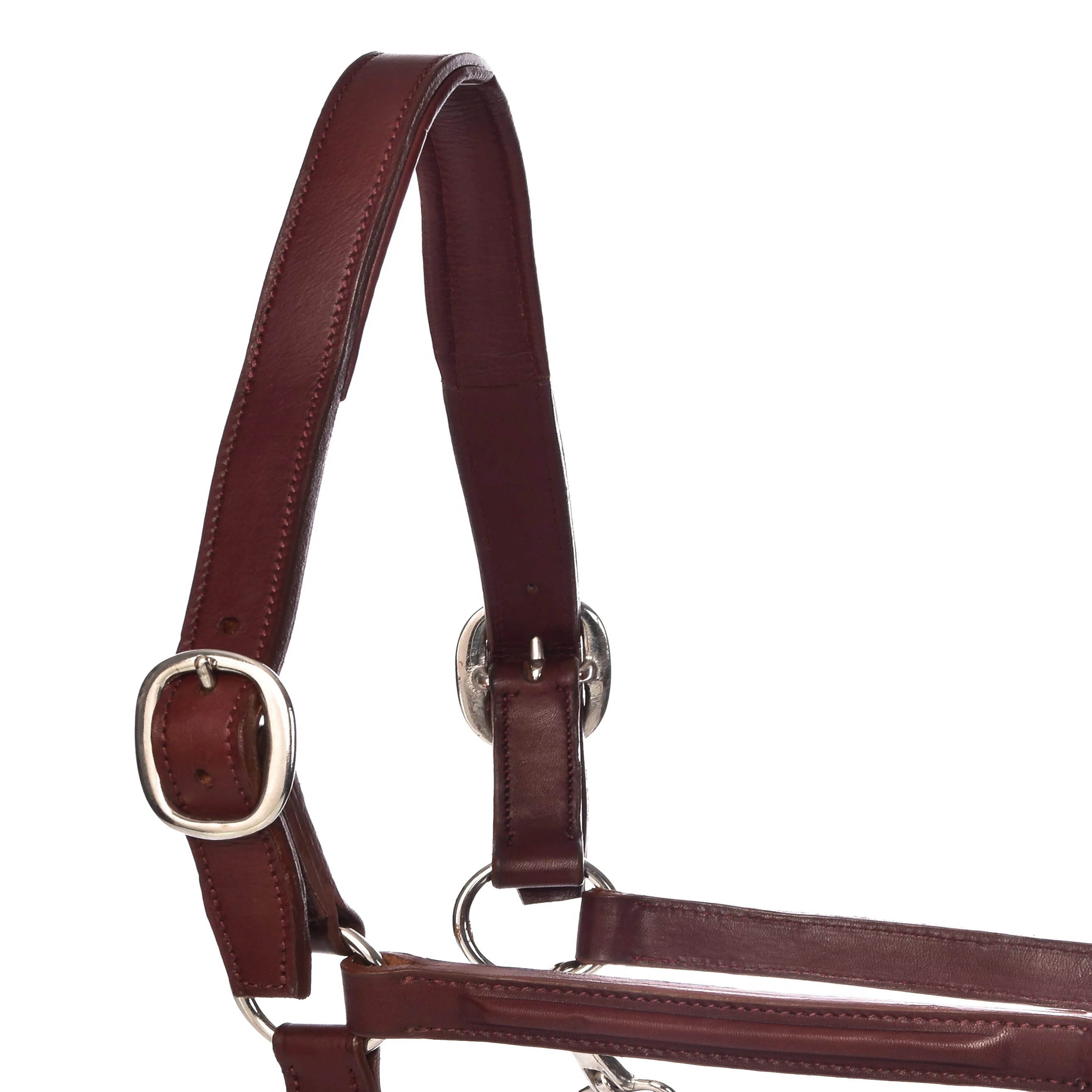 Derby Halters - Image 35